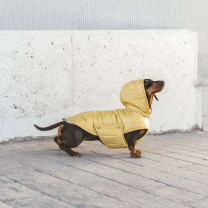 Waterproof Dog Jacket