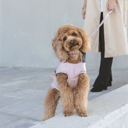 Waterproof Dog Jacket