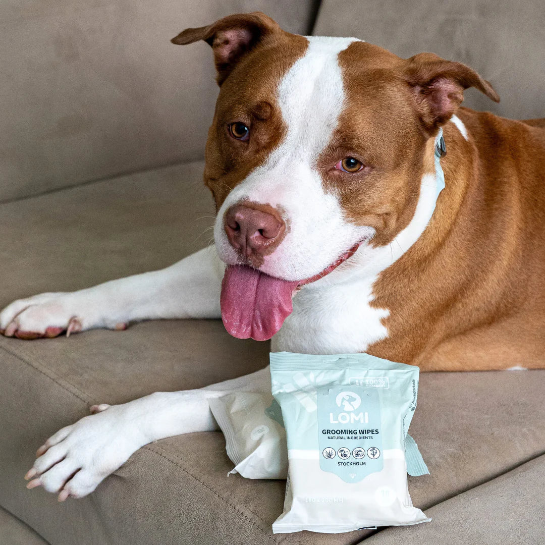 Aloe Vera & Chamomile wet wipes for Dog & Cat - Mini