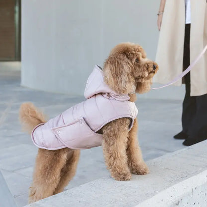 Waterproof Dog Jacket