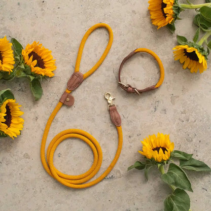 Dog Collar Torekov Sunflower Yellow