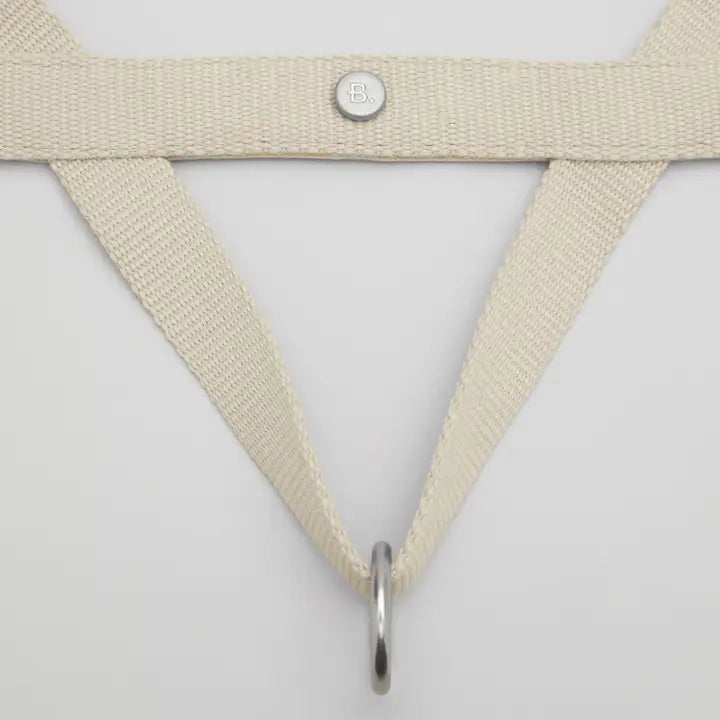 Sand Dog Harness