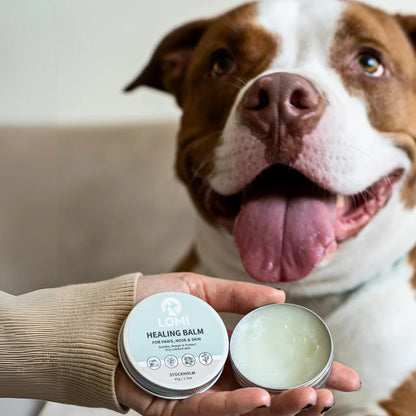 Healing Balm - Natural Healing Balm for Dogs & Cats