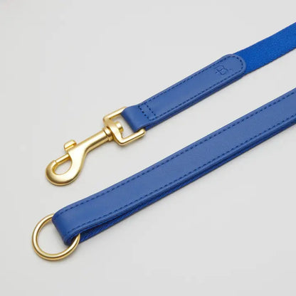 Blue Dog Leash