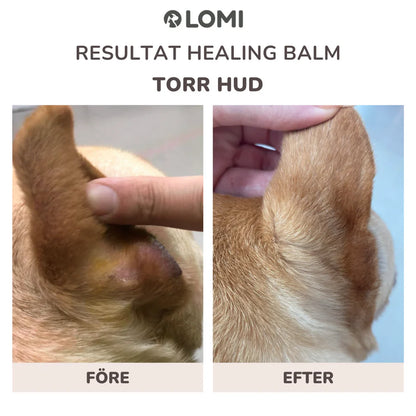 Healing Balm - Natural Healing Balm for Dogs & Cats