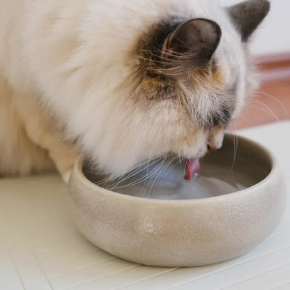 Gourmet water bowl, Cream