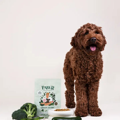 Green Glory | Plant-based dog food | 750 grams | Durable