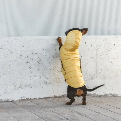 Waterproof Dog Jacket