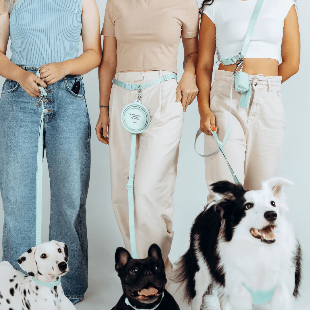 EcoMulti Dog Leash