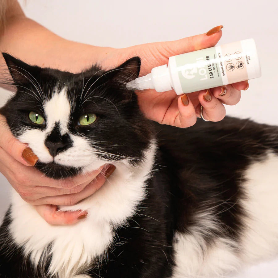 Natural ear cleaner for dogs and cats