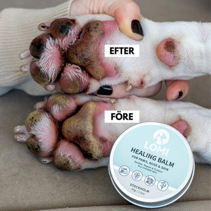 Healing Balm - Natural Healing Balm for Dogs & Cats