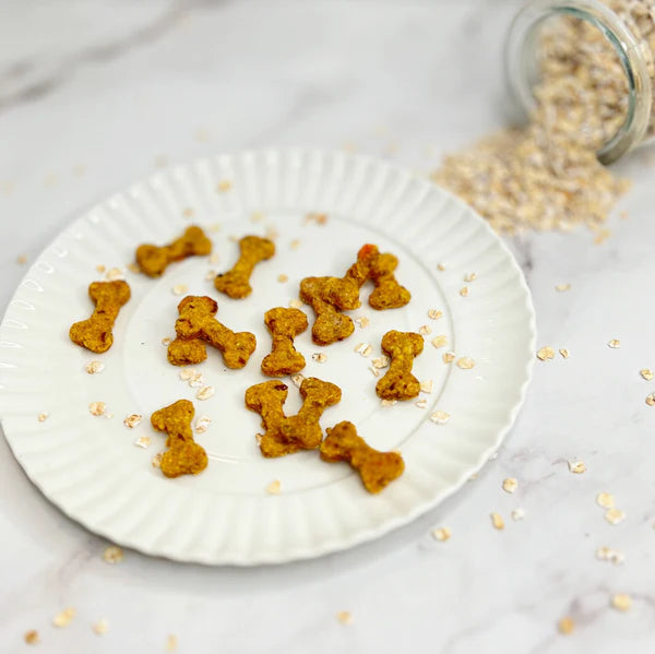 Pumpkin Oat Pawsome Bites Dog Treats