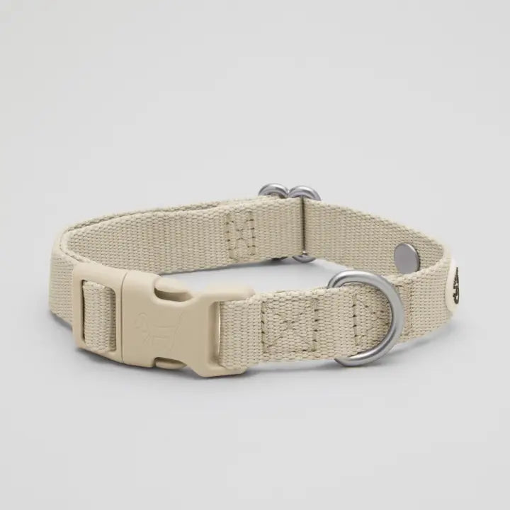 Sand Dog Collar