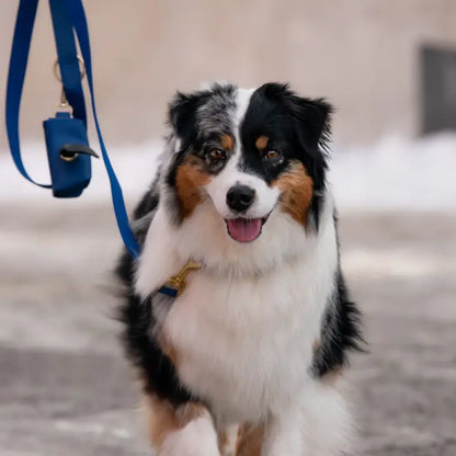 Blue Poop Bag Holder