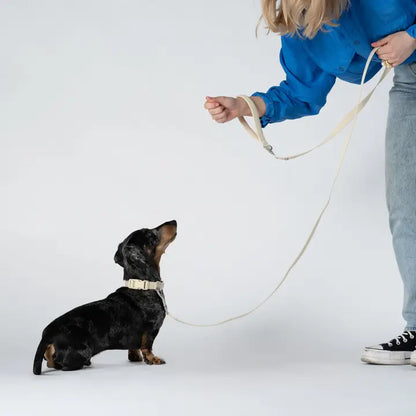 Sand Dog Leash