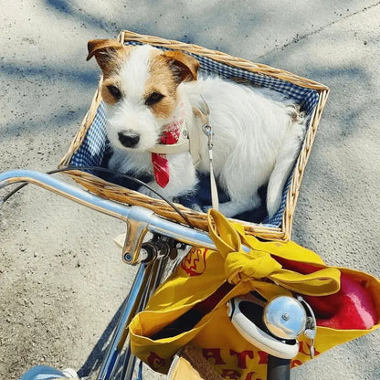 Sand Dog Harness