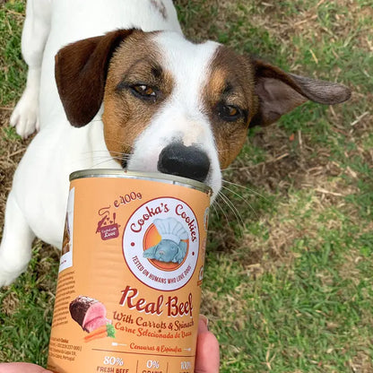 Real Beef - Natural Moist Dog Food