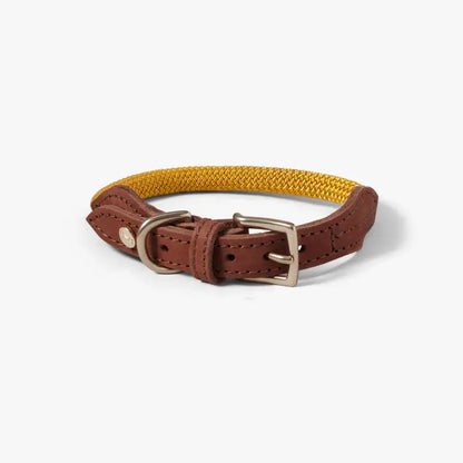 Dog Collar Torekov Sunflower Yellow