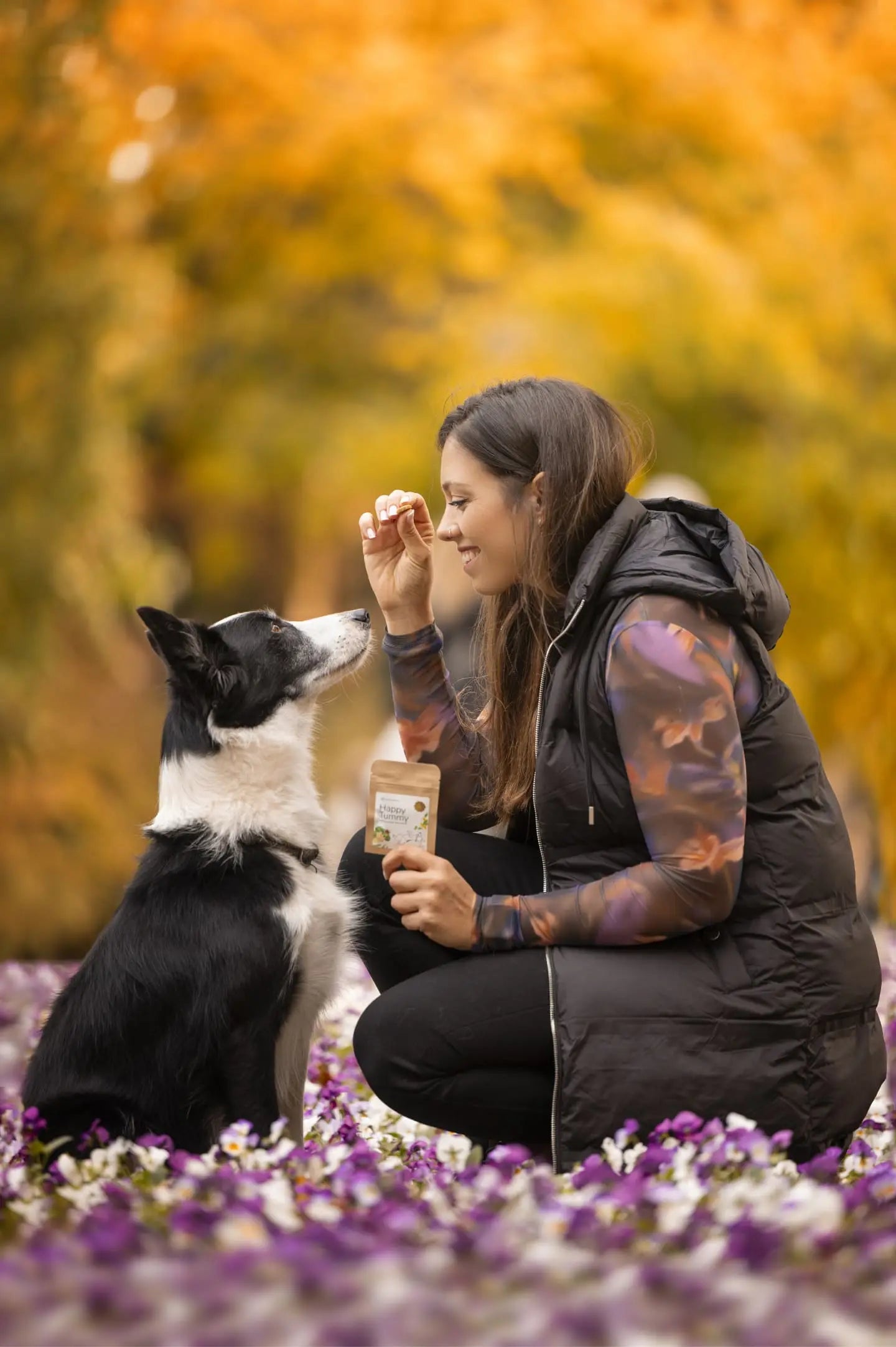 Happy Tummy Organic Baked Dog Treats